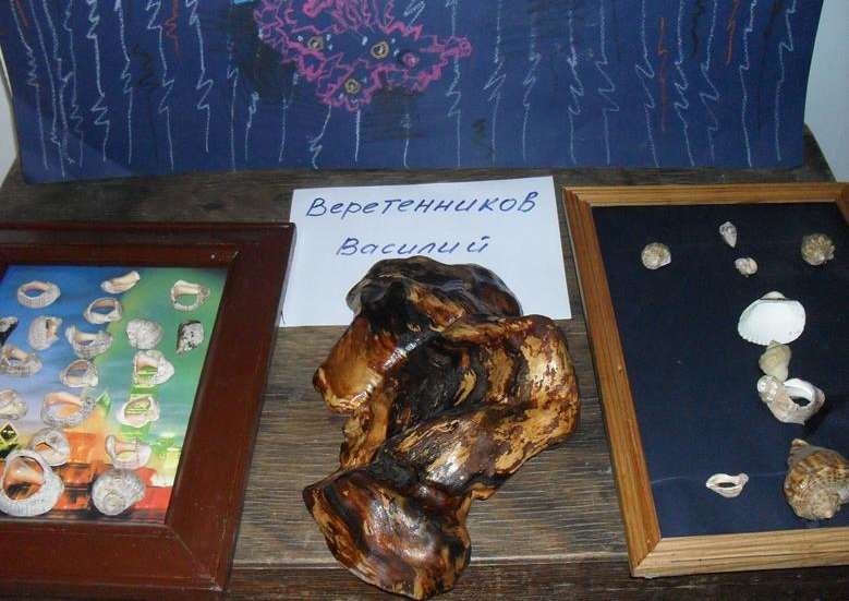 Выставка цветов и поделок 2014 — фото 12