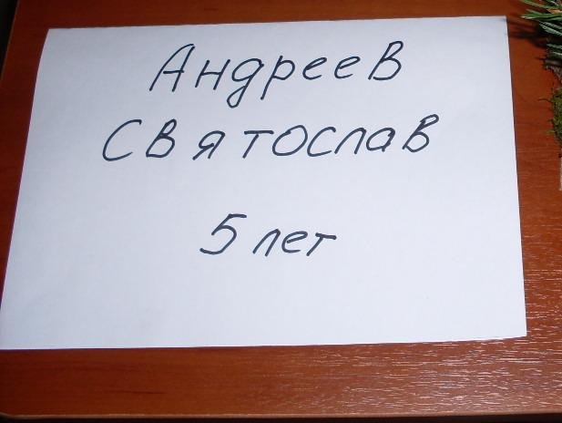 Выставка цветов и поделок 2015 — фото 7