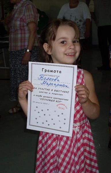 Выставка цветов и поделок 2015 — фото 15