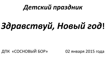 Встреча Нового 2015 года — фото 1