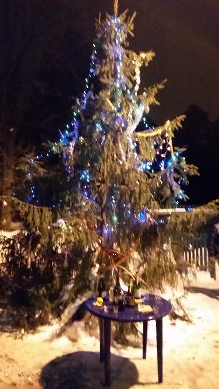 Встреча Нового 2017 года — фото 2